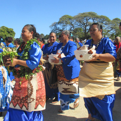 VSA in Tonga