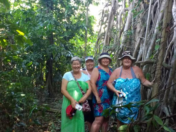 4 sisters and a Nabanga tree